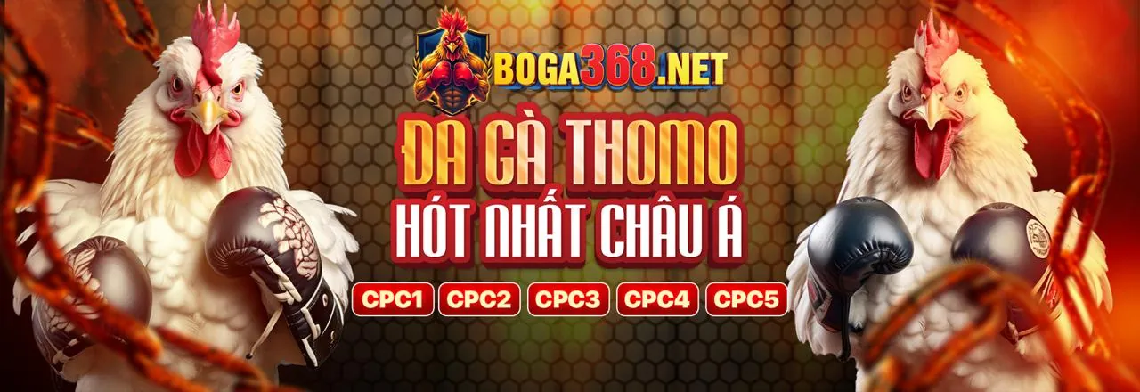 Tin tức mới nhất về vn16 app và các hoạt động cá cược trực tuyến