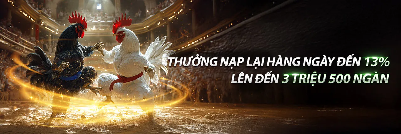 Đấu trường đá gà trực tuyến sôi động trên vn16 app